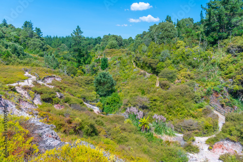 Geothermal landscape of Wairakei thermal valley in New Zealand photo