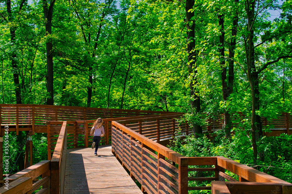 A young girl runs on the wooden canopy walkway, located in an oak forest near country town A young girl runs on the wooden canopy walkway, located in an oak forest near country town