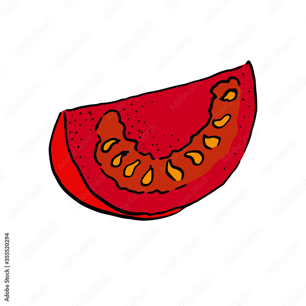 vector colour sketch of a section of tomato doodle style. hand drawn vector colour sketch of a section of tomato doodle style. hand drawn
