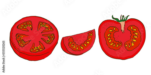 vector colour sketch of cut tomatos doodle style. hand drawn