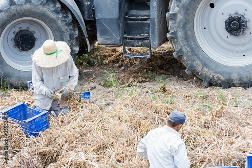Editorial. Granada, Spain- June 4, 2020
