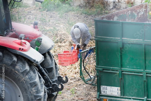 Editorial. Granada, Spain- June 4, 2020