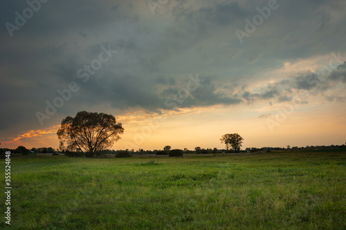Evening clouds over a green meadow, trees on the horizon