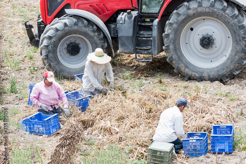 Editorial. Granada, Spain- June 4, 2020