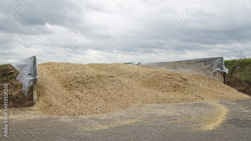A silage clamp filled with freshly chopped maize at a dairy farm, after compacting it with a heavy tractor it is covered by an airtight plastic sheet, left to ferment and used in winter as cow feed
