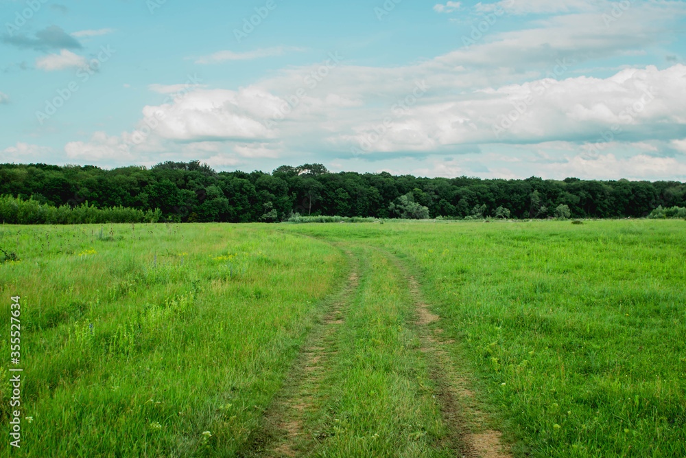 The road on a green meadow. Country road. Man way concept. Choosing your own path. Life road. The path under your feet. The road under the blue sky. Happy way