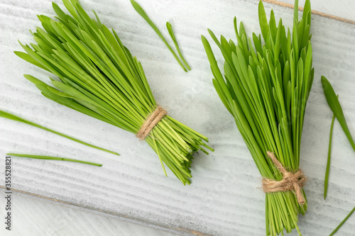 Barley grass on a white background