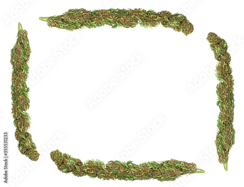 Long green dried marijuana buds square frame isolated on white background. Cannabis frame buds. © Sergie
