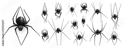 Collection of Spider, cobweb, isolated on black, transparent background. Spiderweb for Halloween design. Spider web elements,spooky, scary, horror halloween decor. Hand drawn silhouette, vector illust