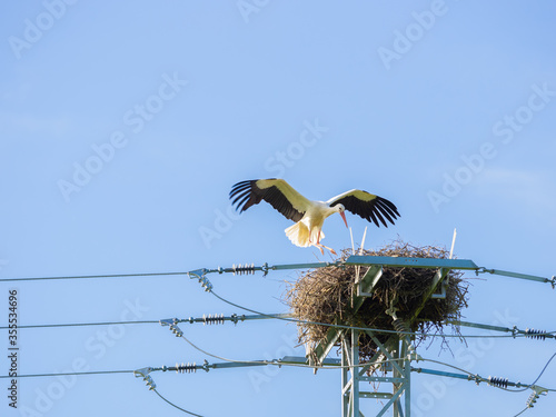 Stork flying towards its nest built in an electricity pylon