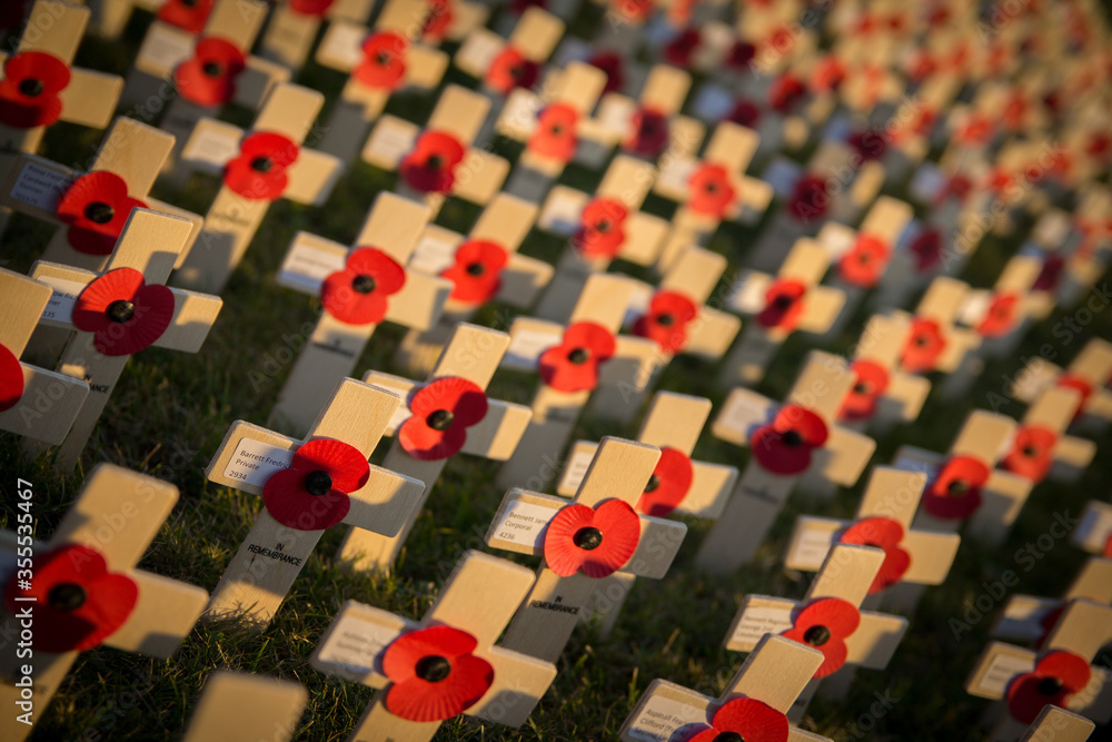 Fototapeta premium Crosses and poppies gathered for Remembrance Sunday