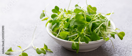 Micro herbs, watercress salad in white bowl. Grey background. Close up. Copy space.