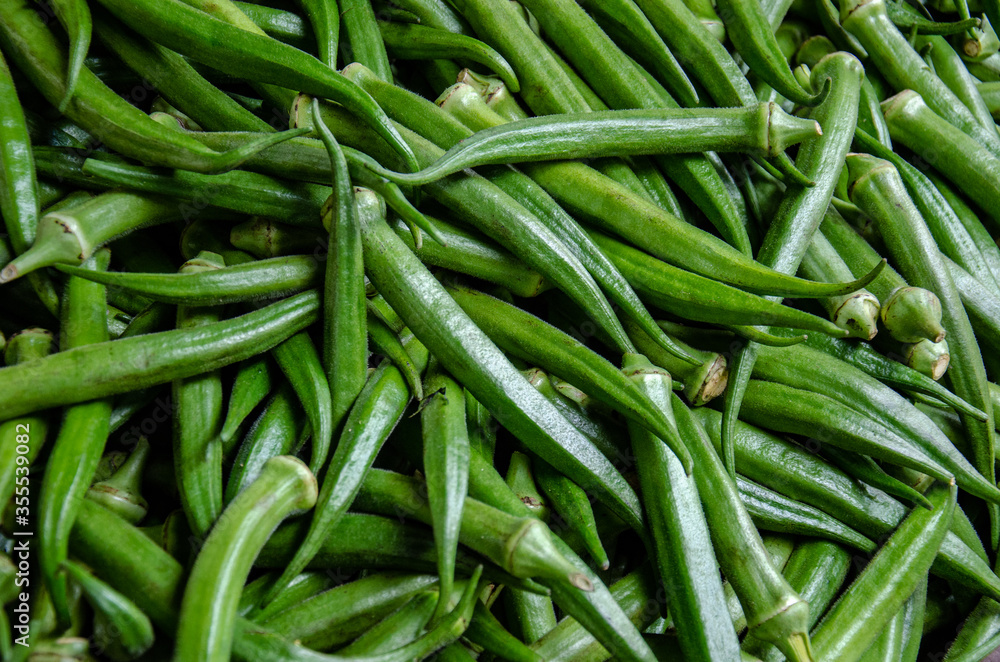 okra lady fingers close up feira de são joaquim lower city salvador baixa brazil okra lady fingers close up feira de são joaquim lower city salvador baixa brazil