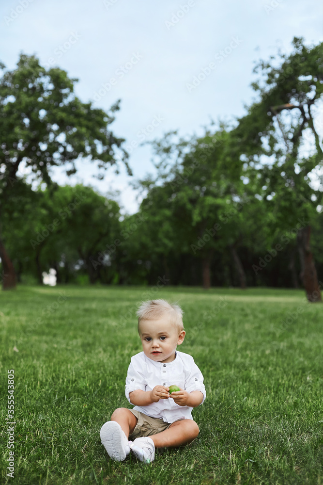 Little baby boy in white shirt and shorts sitting alone on the grass in summer day. Small kid 1-year-old in posing outdoors. Little baby boy in white shirt and shorts sitting alone on the grass in summer day. Small kid 1-year-old in posing outdoors.