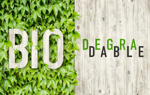 Banner with the inscription biodegradable on a background of boards and green leaves