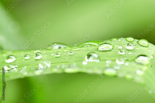 Raindrops on a leaf of grass, macro photo