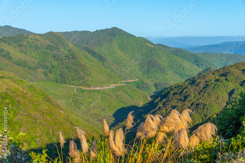 Rimutaka crossing at the North Island of New Zealand photo