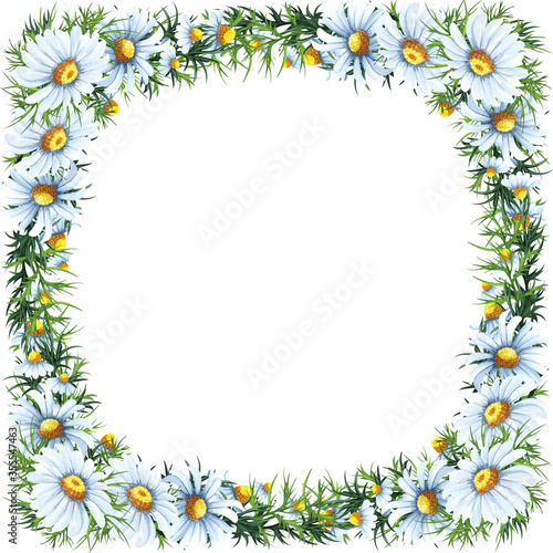 Watercolor floral wreath with chamomiles, leaves, foliage, branches, fern leaves and place for your text. Perfect for wedding invitations, greeting cards. Angled wildflowers  frame.