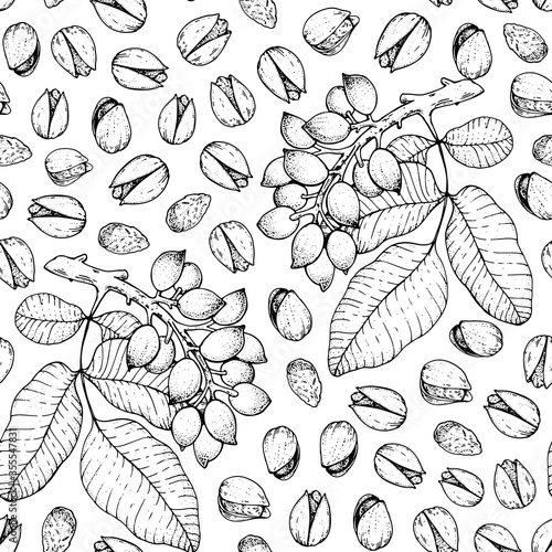 Pistachios seamless pattern. Pistachios hand drawn sketch. Nuts vector illustration. Organic healthy food. Great for packaging design. Engraved style. Black and white color.