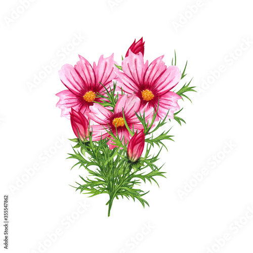 Watercolor cosmos flowers bouquet isolated on white background. Hand drawn wildflower arrangement with pink flower and green leaves.