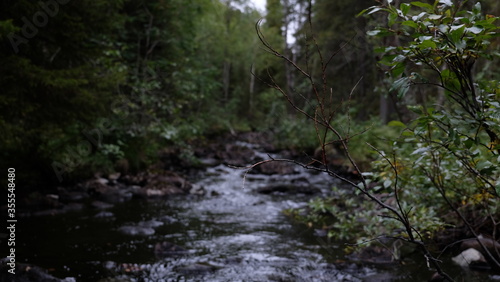 Waterfall in the forest