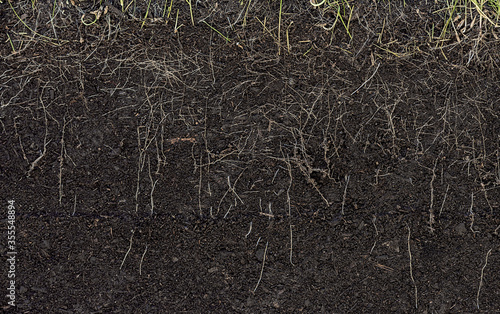 grass with roots and soil photo