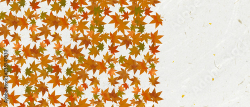 Leaf material. Japanese paper and leaf material. Leaf background.                                           