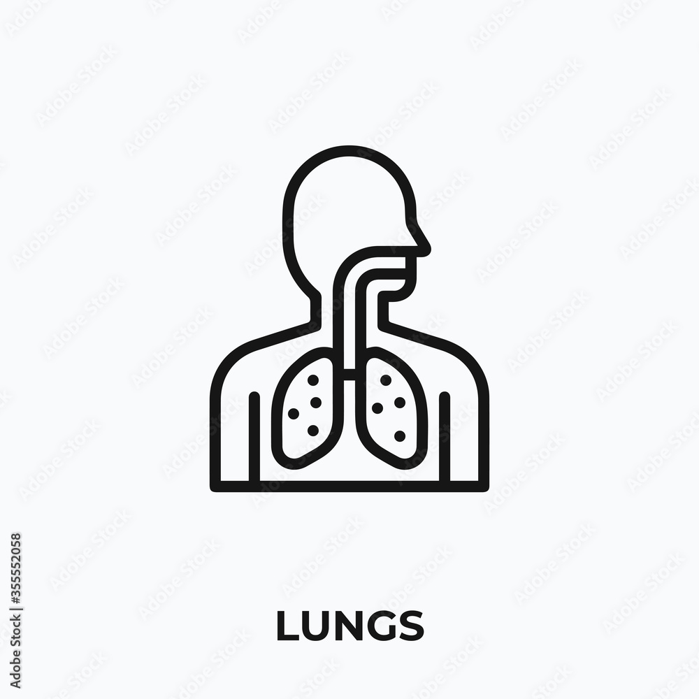 Fotografie lungs icon vector. lungs sign symbol