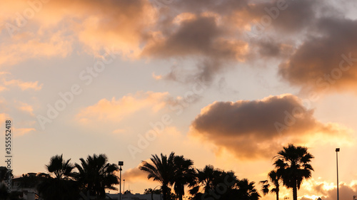 orange sky during sunset, silhouette of palm trees © Eloy