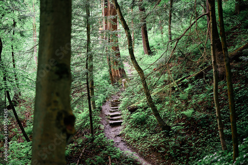 A hiking trail in McConnells Mill State Park, Pennsylvania, USA  in the summer during the COVID-19 quarantine  photo