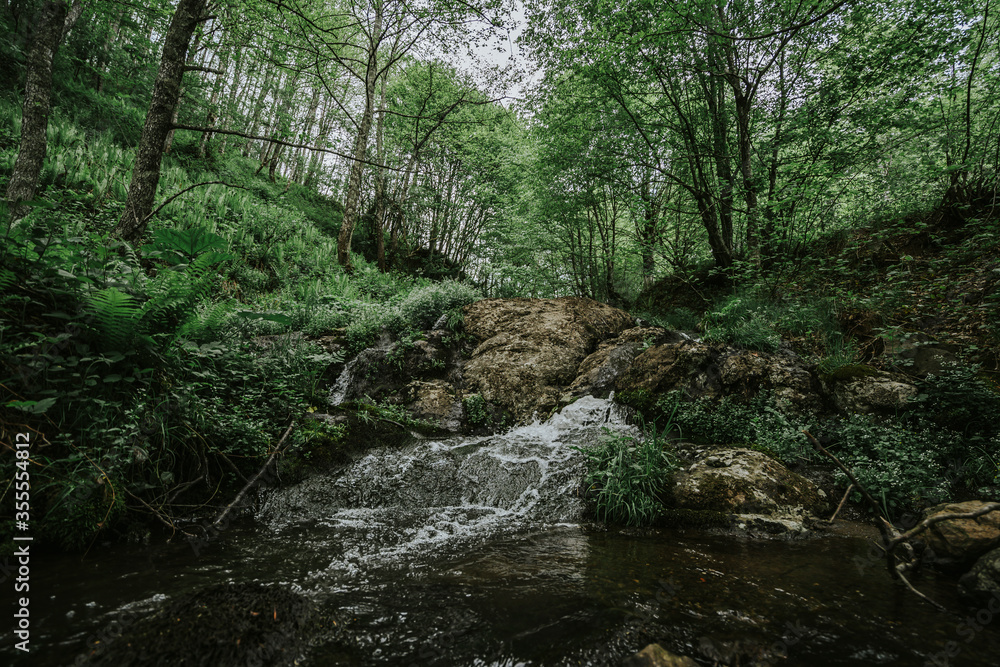 Deep forest river wild waterfall view. Forest river wild landscape. Wild river stream rocks flowing. Forest river rocks view Deep forest river wild waterfall view. Forest river wild landscape. Wild river stream rocks flowing. Forest river rocks view