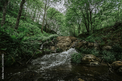 Deep forest river wild waterfall view. Forest river wild landscape. Wild river stream rocks flowing. Forest river rocks view