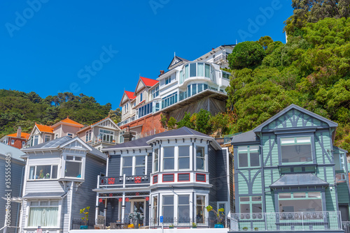 Traditional residential houses at Mount Victoria in Wellington, New Zealand photo