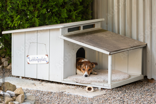 Quadro su tela Der Lieblingsplatz unseres Hundes in seiner Hundehütte