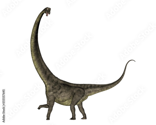 Mamenchisaurus dinosaur walk isolated in white background - 3D render © Elenarts