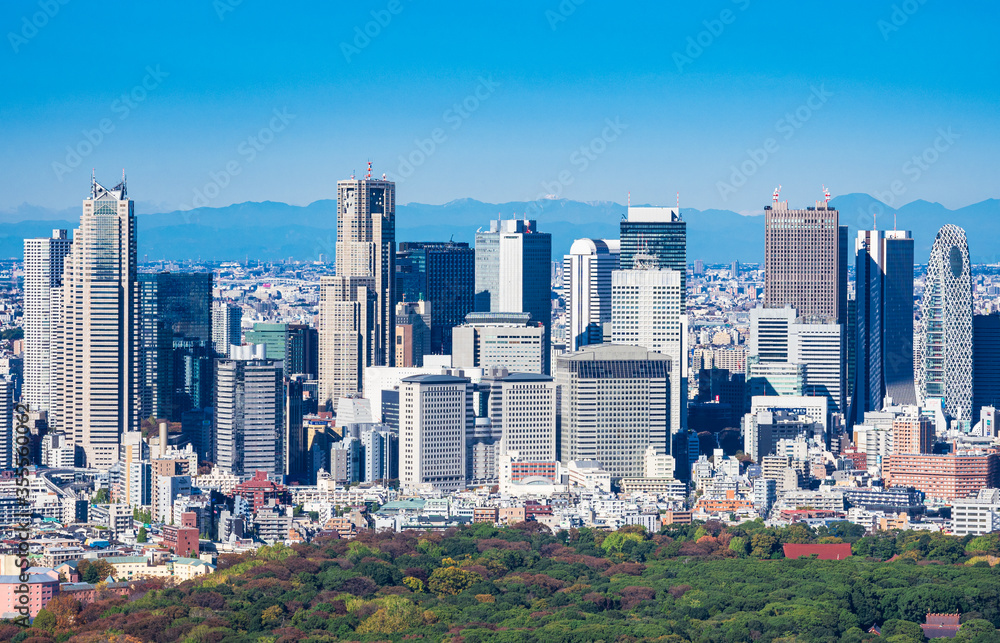 Obraz premium 新宿副都心の高層ビル