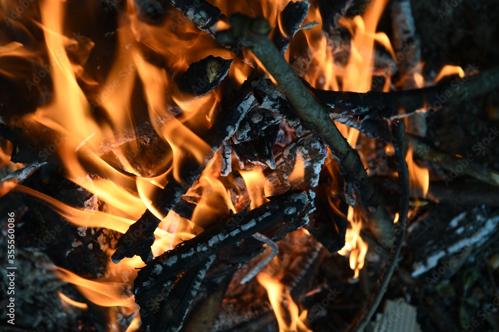 fire in the fireplace fire in the fireplace
