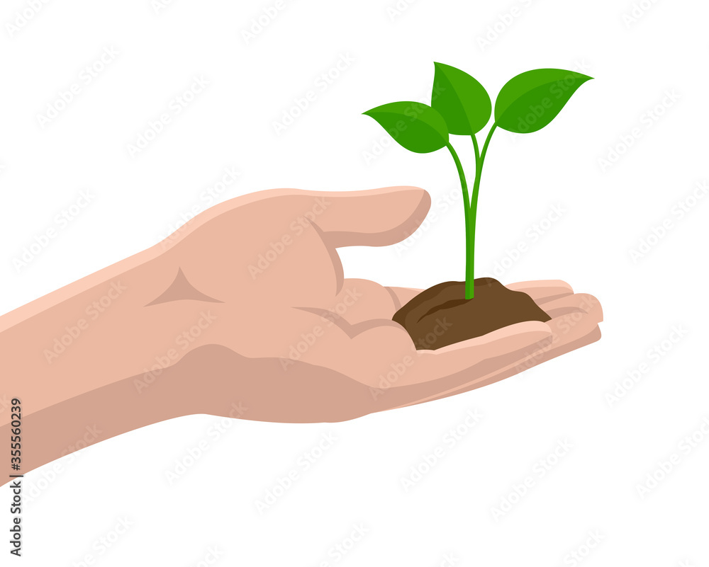 Plant sprout in human hand with handful of soil - ecology or agriculture isolated vector decoration Plant sprout in human hand with handful of soil - ecology or agriculture isolated vector decoration