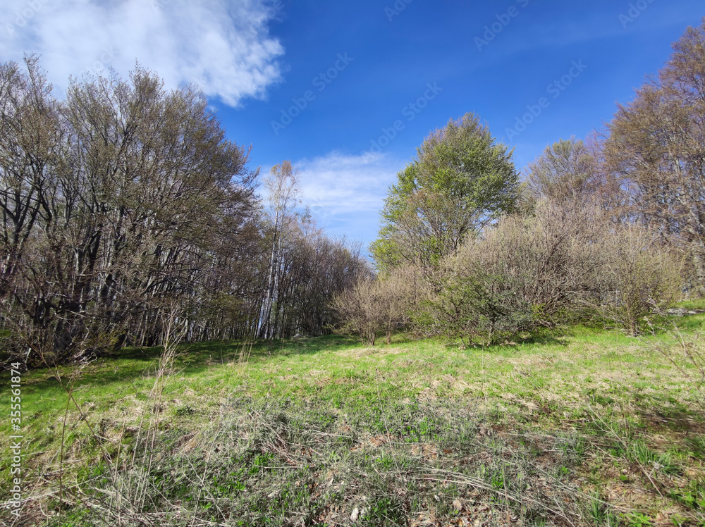 Spring landscape of Vitosha Mountain, Bulgaria Spring landscape of Vitosha Mountain, Bulgaria