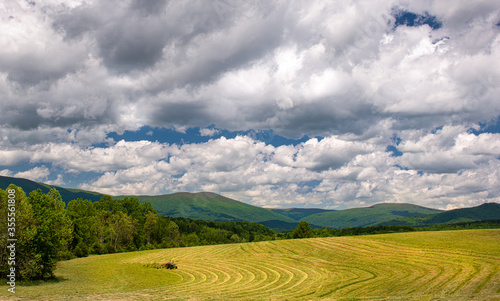 Farmer raking hay in sunny field in late spring in central Virginia at foot of Blue Ridge Mountains and Shenandoah National Park.