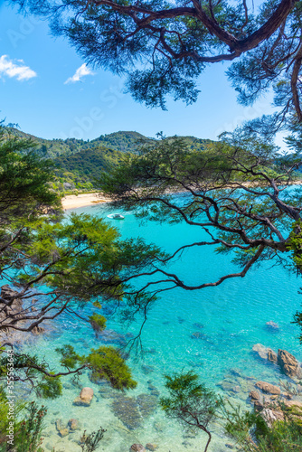 Onetahuti beach at Abel Tasman national park in New Zealand photo