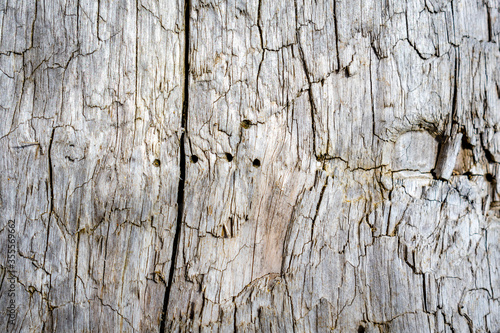 old cracked wood