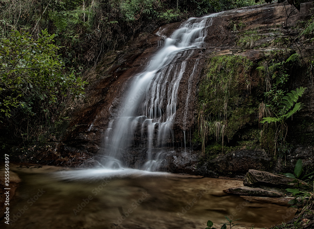 Obraz premium waterfall in the forest