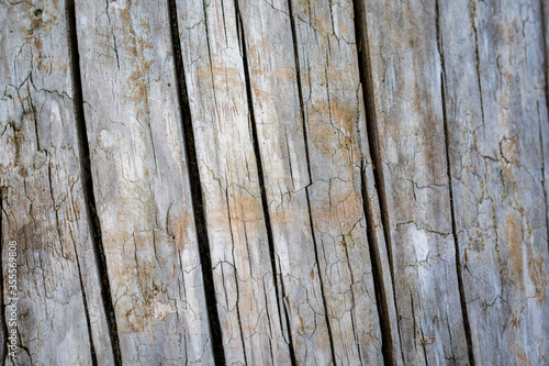 old wood texture