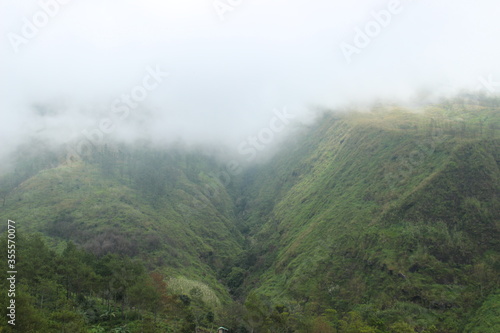 the peak of Mount Arjuno, Indonesia with thick fog. fresh mountain scenery in the rainy season