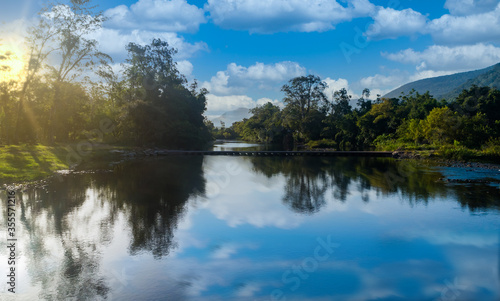 lake in the forest