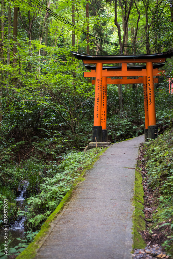 red gates at fushimi inari, Kyoto, torii gates on mt inari red gates at fushimi inari, Kyoto, torii gates on mt inari