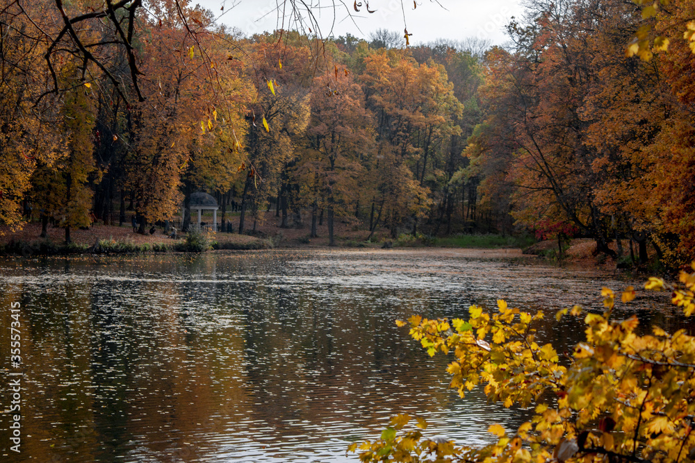 Obraz premium Golden autumn in the city park. Falling leaves on the surface of the lake in the fall in the park. Rotunda on the shore. City park in the fall in central Russia. 