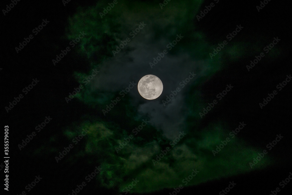 朧月夜 朧月夜