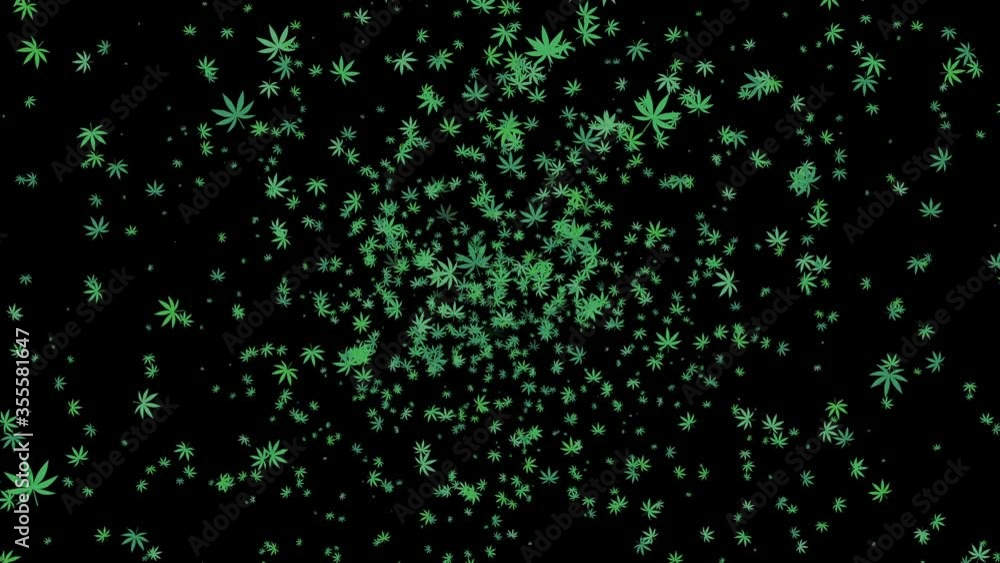 CBD Cannabis Plant Leaf or Marijuana Controlled Substance for Therapeutic Use But May Have Harmful Health Effects CBD Cannabis Plant Leaf or Marijuana Controlled Substance for Therapeutic Use But May Have Harmful Health Effects